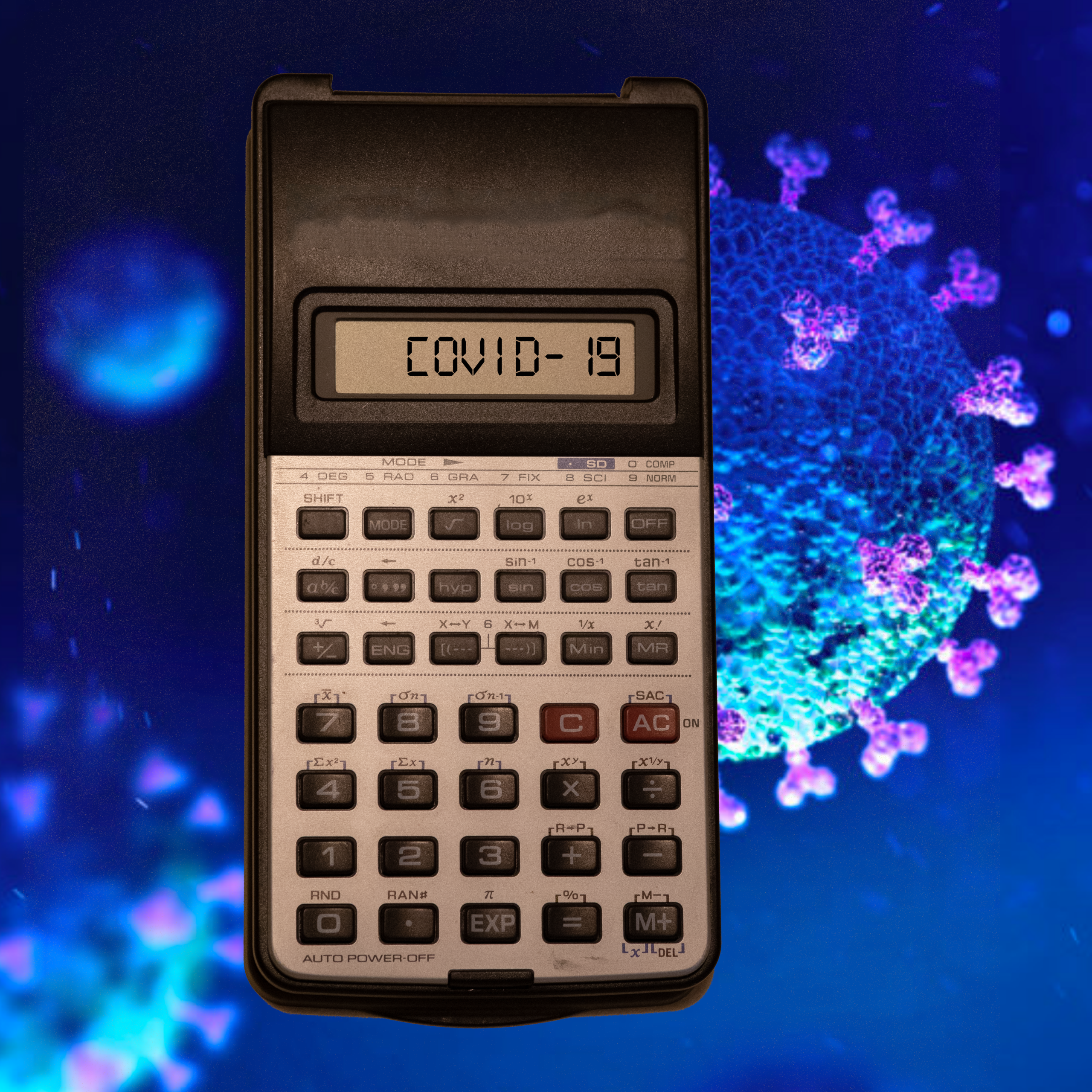 Calculating the cost of Covid-19